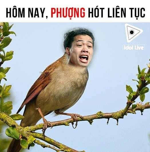 Việt Nam Lào ảnh chế