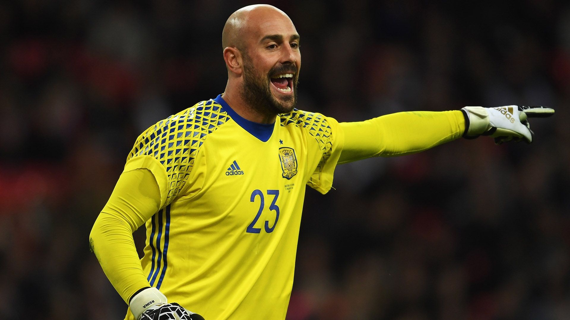 Pepe Reina Spain