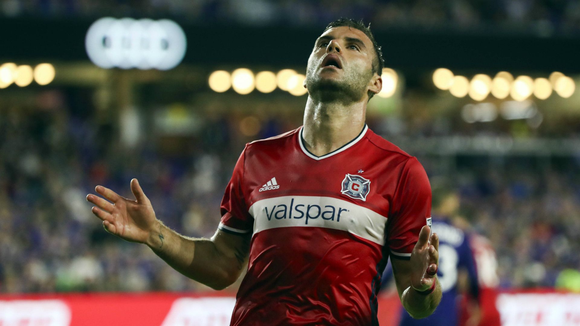 Nemanja Nikolic Chicago Fire