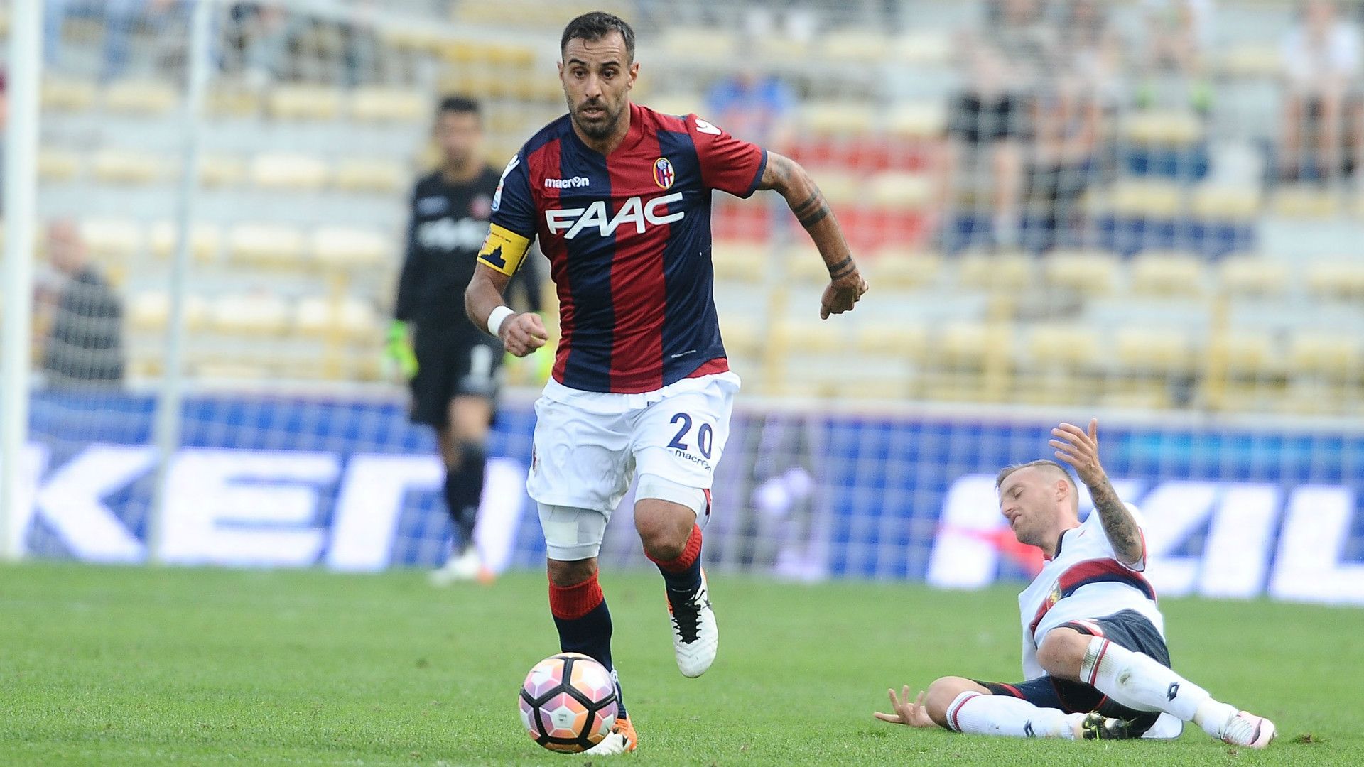 Domenico Maietta Bologna