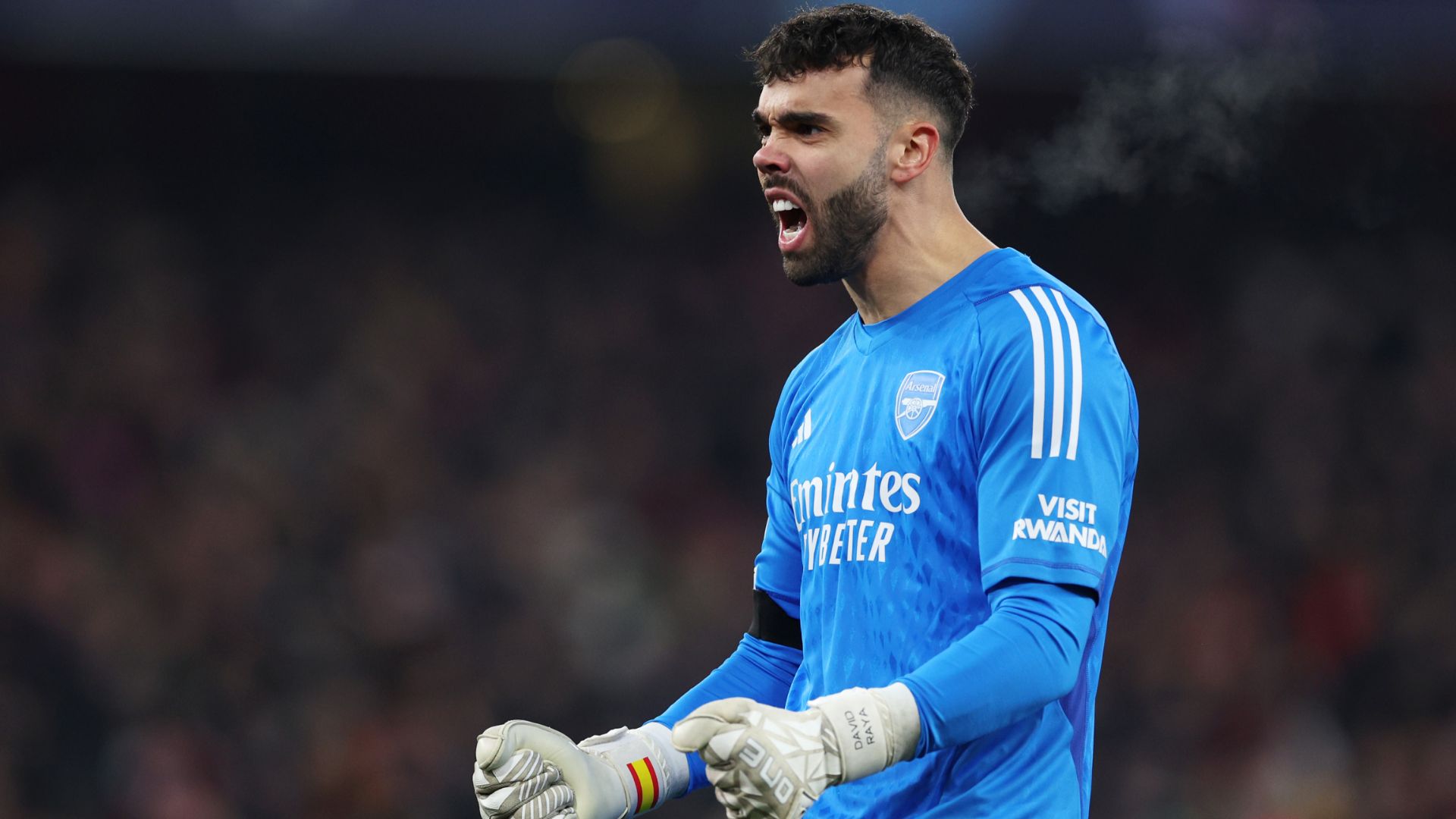 David Raya Arsenal 2023-24