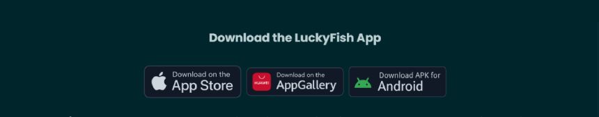 Lucky Fish Accessibility