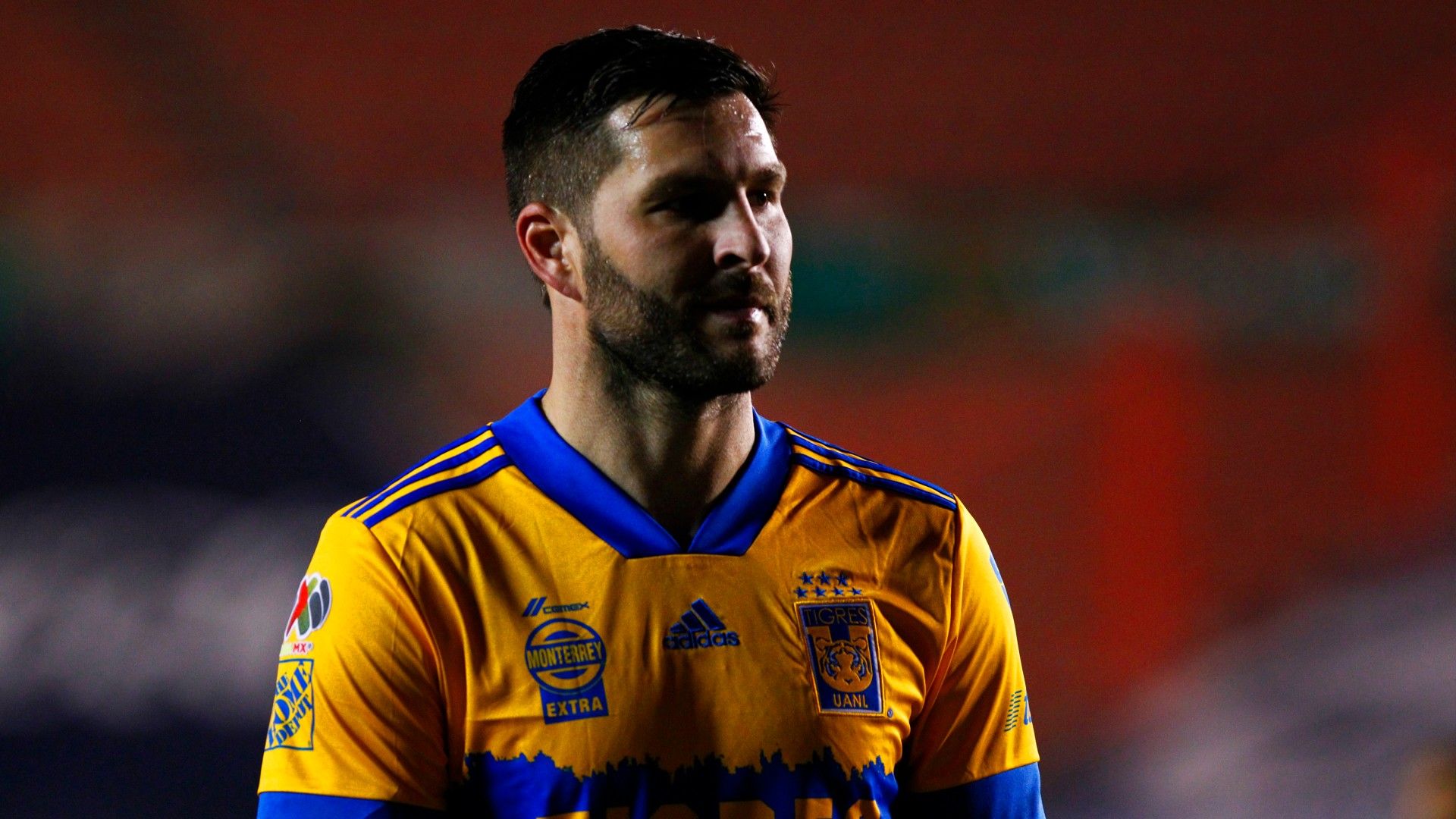 Gignac Tigres Guardianes 2021