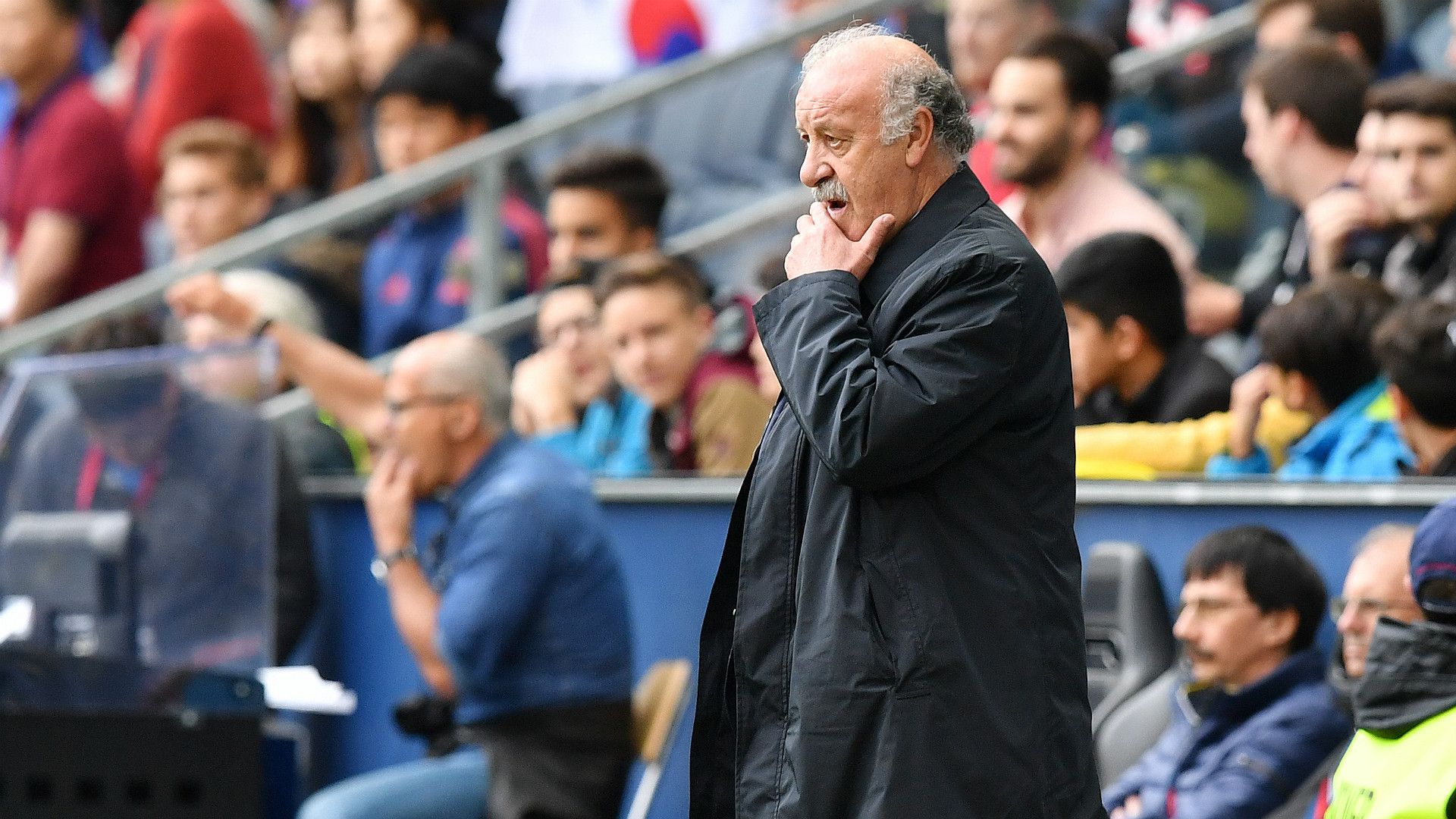 Vicente Del Bosque Spain Korea Friendly 01062016