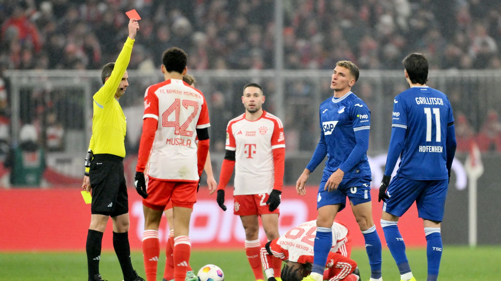 Pomel Bayern Munich Hoffenheim 