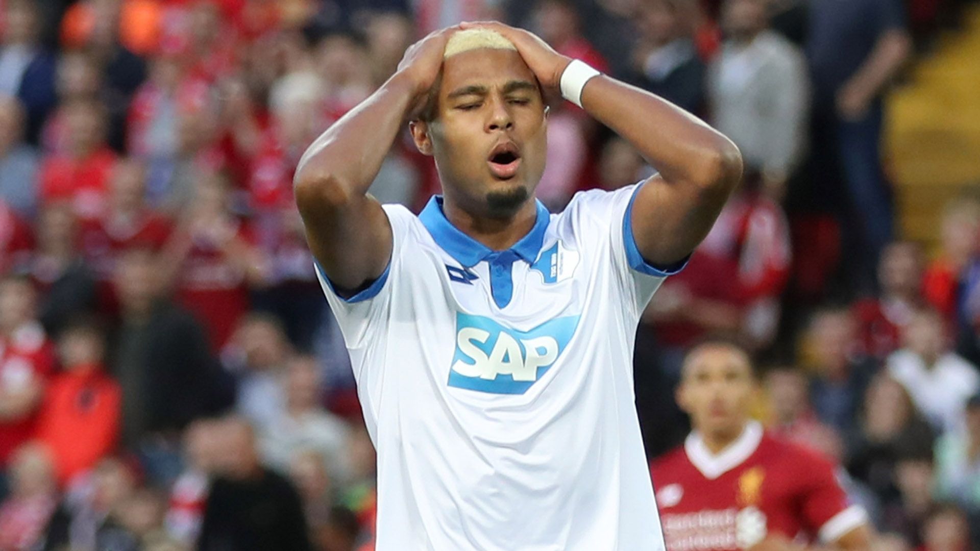 serge gnabry tsg 1899 hoffenheim bundesliga