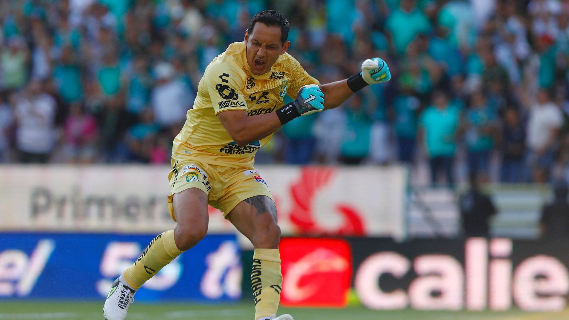 Rodolfo Cota León Clausura 2024