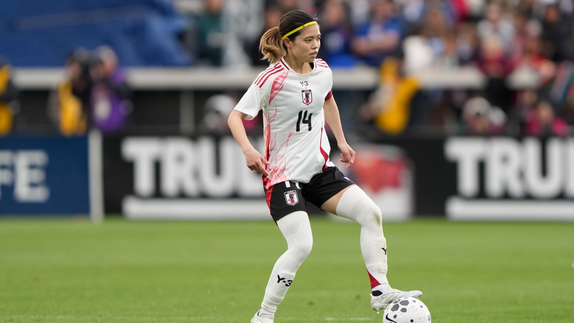 yui-hasegawa
