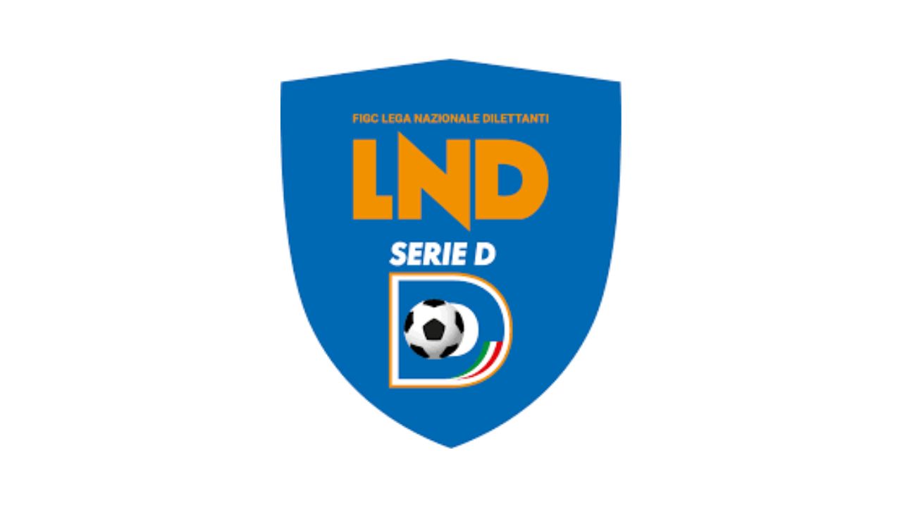 Serie D Logo