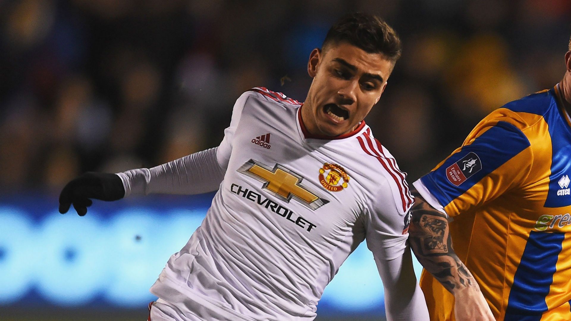 andreaspereira-cropped