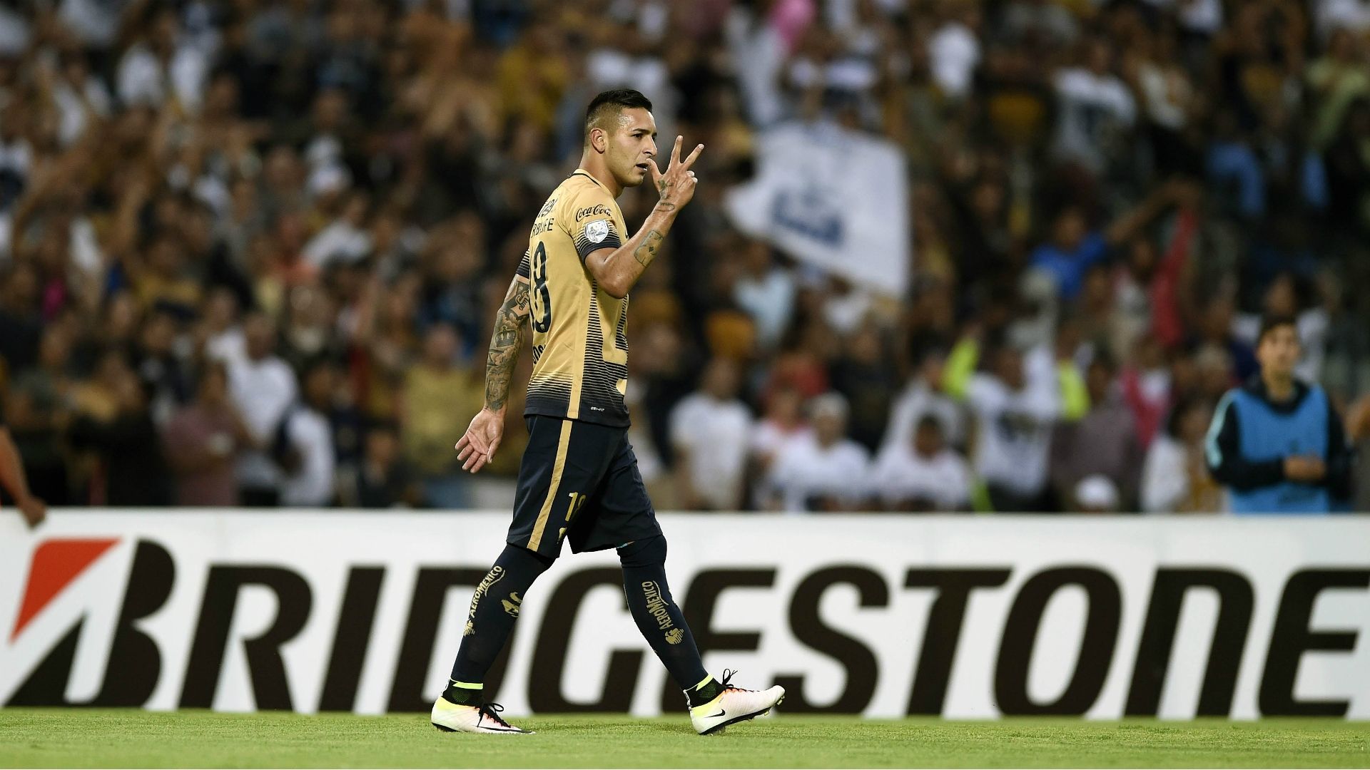 Pumas Libertadores