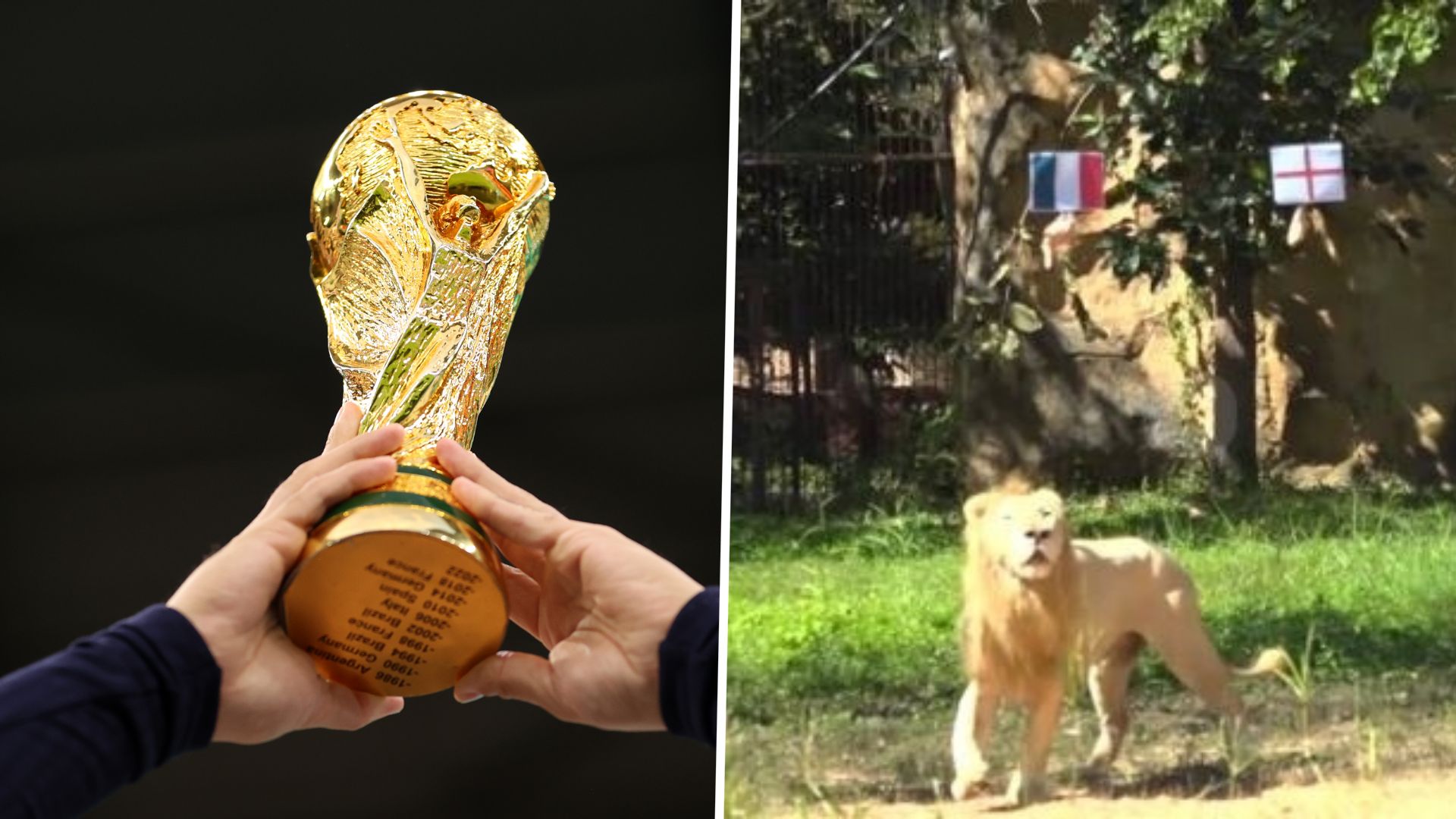 World Cup Trophy