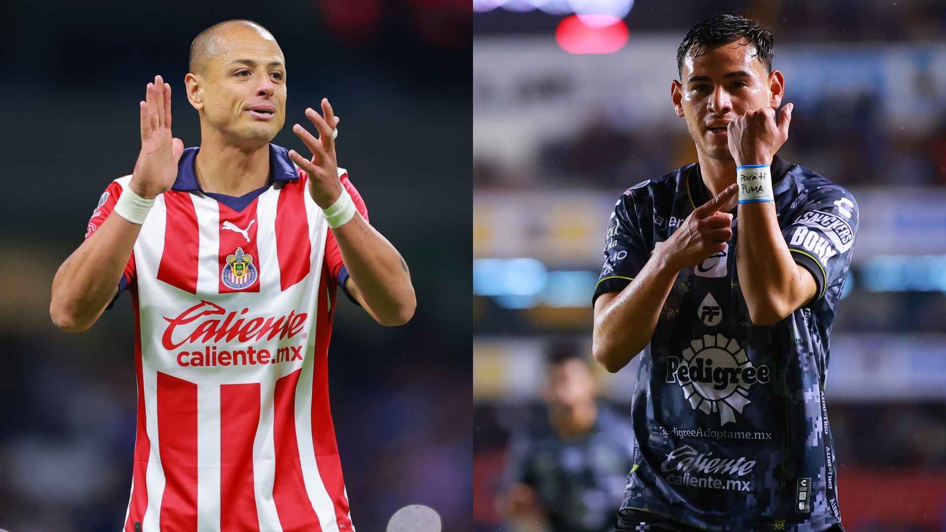 Chivas Querétaro Clausura 2024 Liga MX