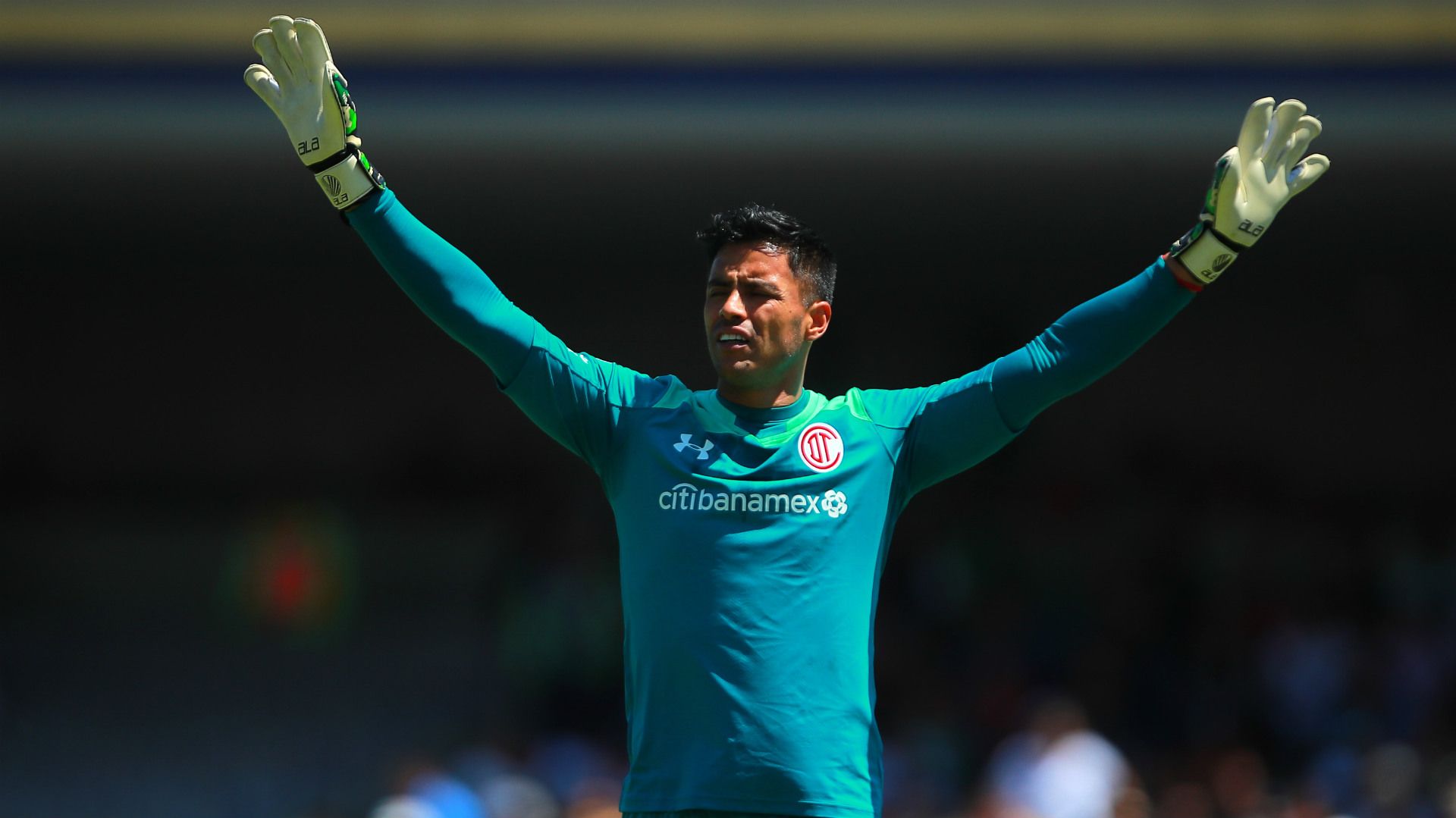 Alfredo Talavera Toluca