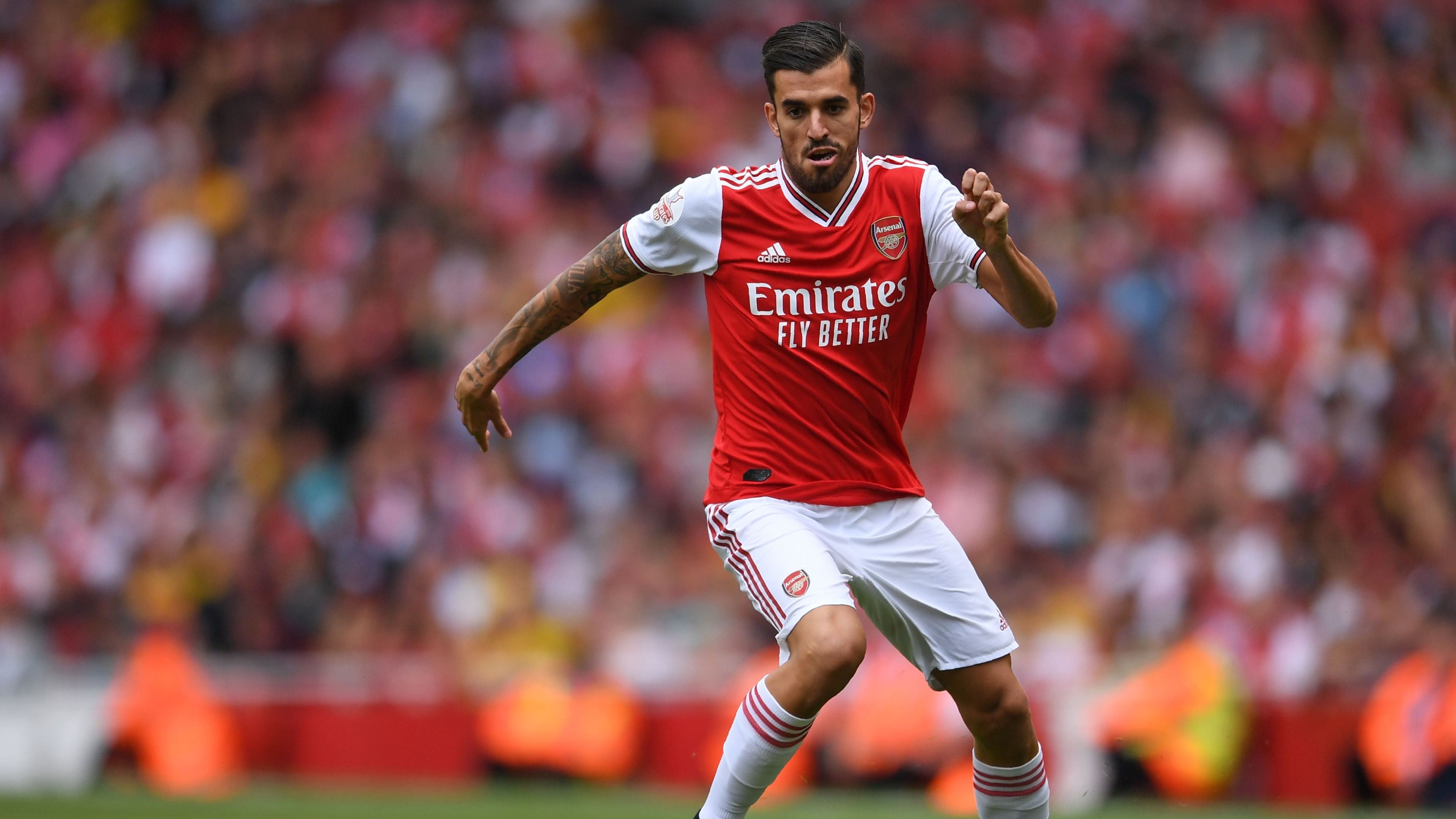Dani Ceballos Arsenal