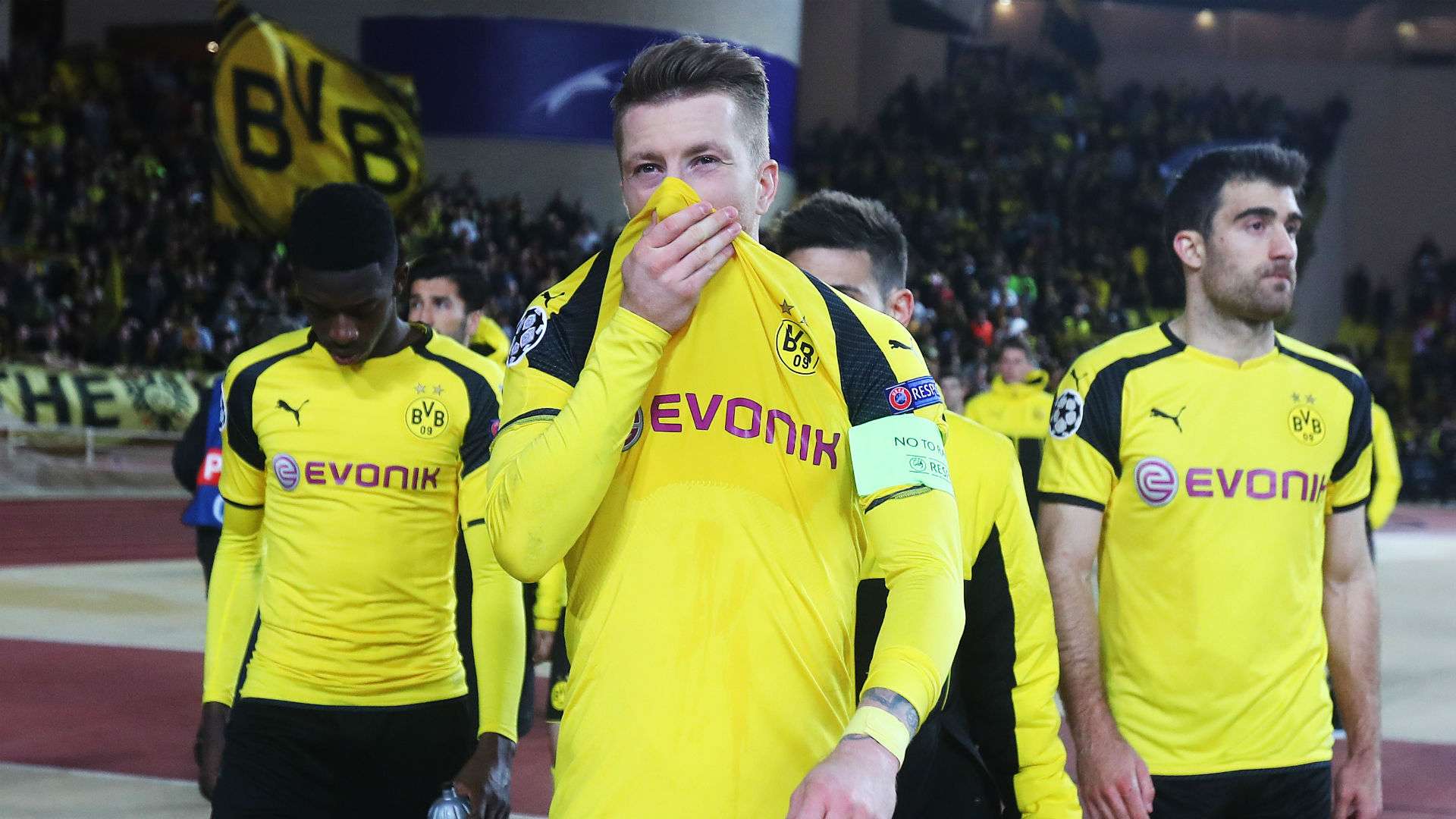 marcoreus - Cropped