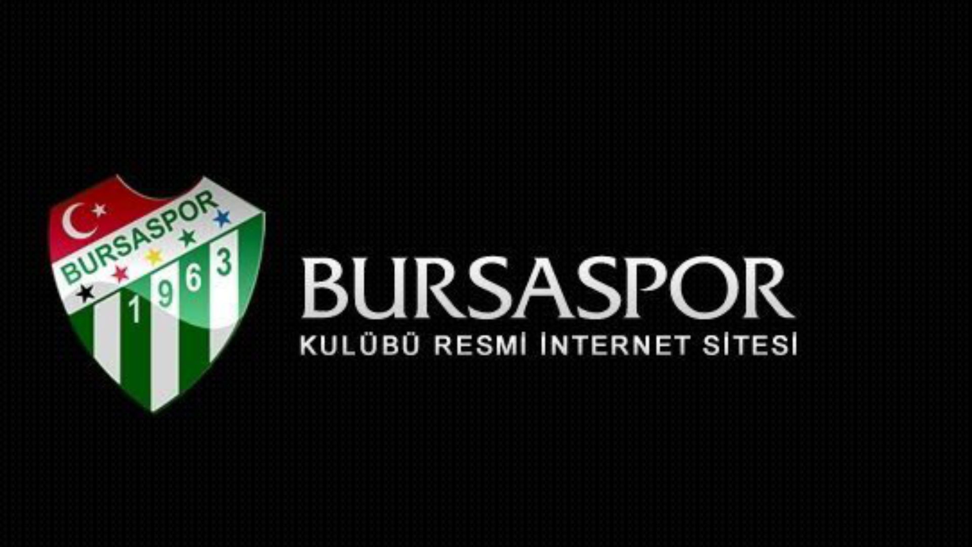 Bursaspor logo