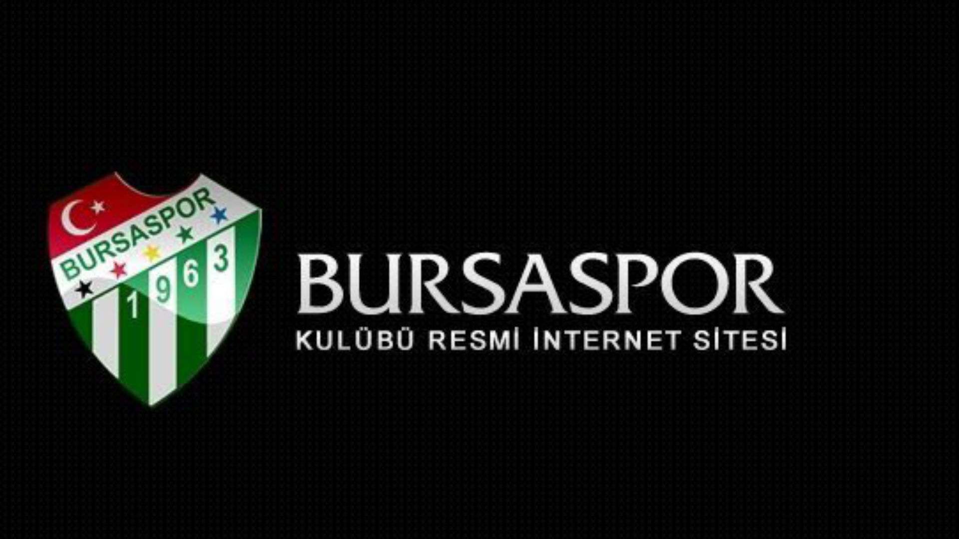 Bursaspor logo