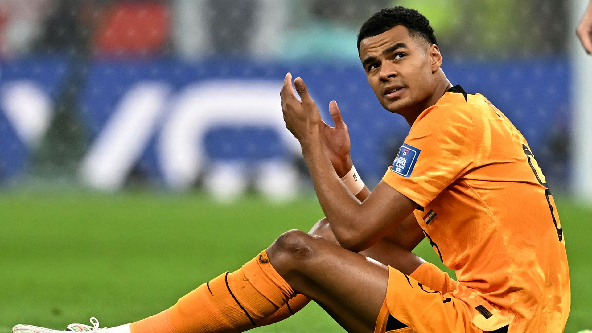 Cody Gakpo Netherlands 2022 World Cup