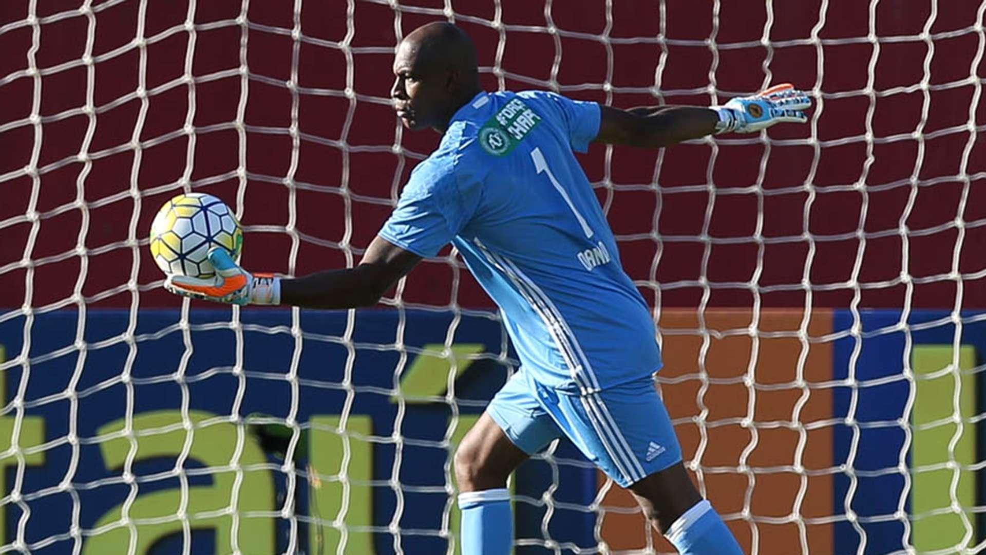 Jailson Vitória Palmeiras Brasileirão 11122016