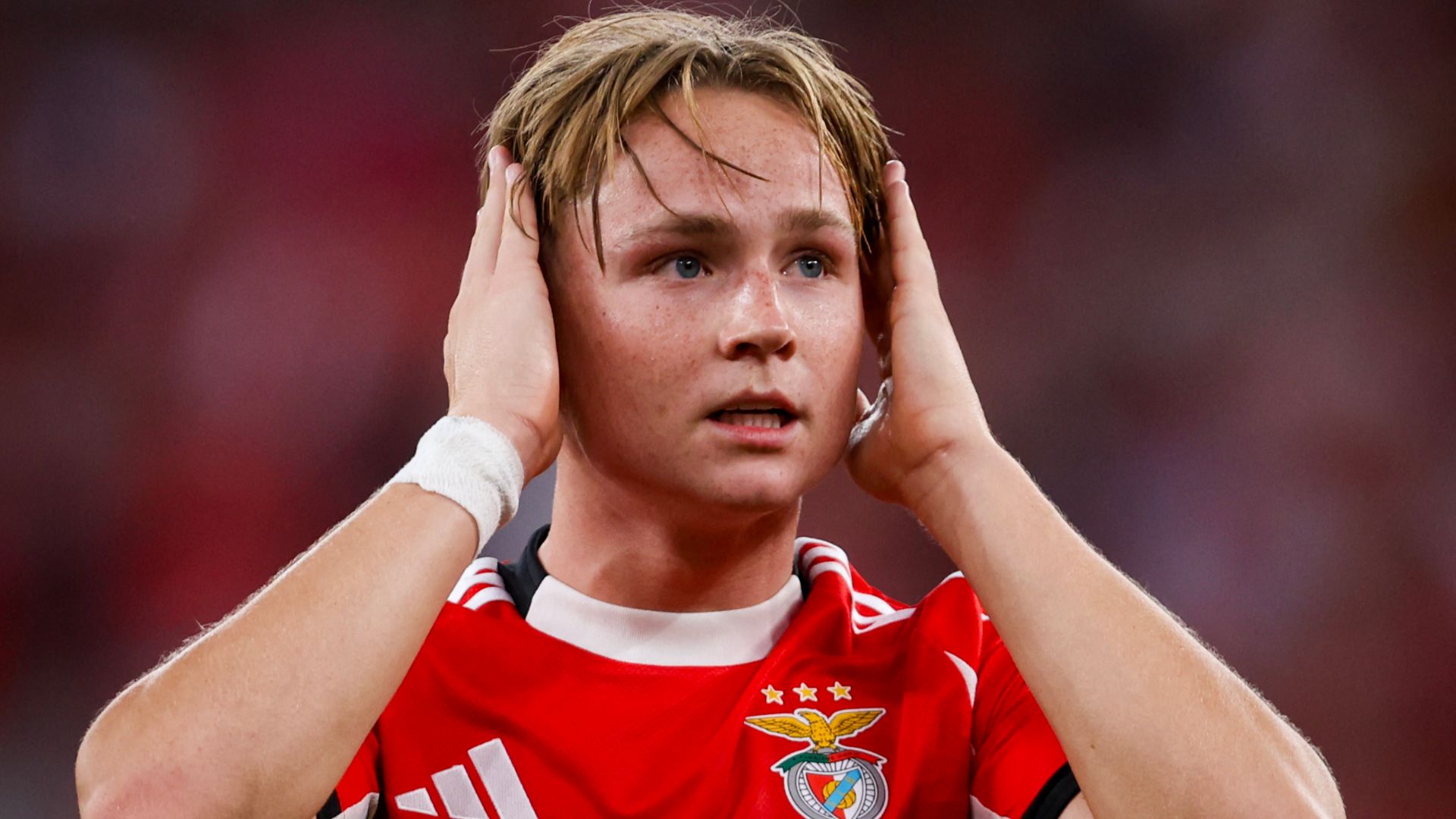 Andreas Schjelderup Benfica 2025-26