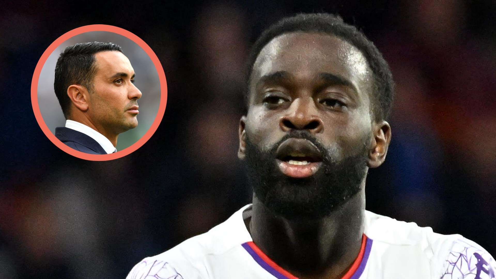 Ikoné Palladino Fiorentina