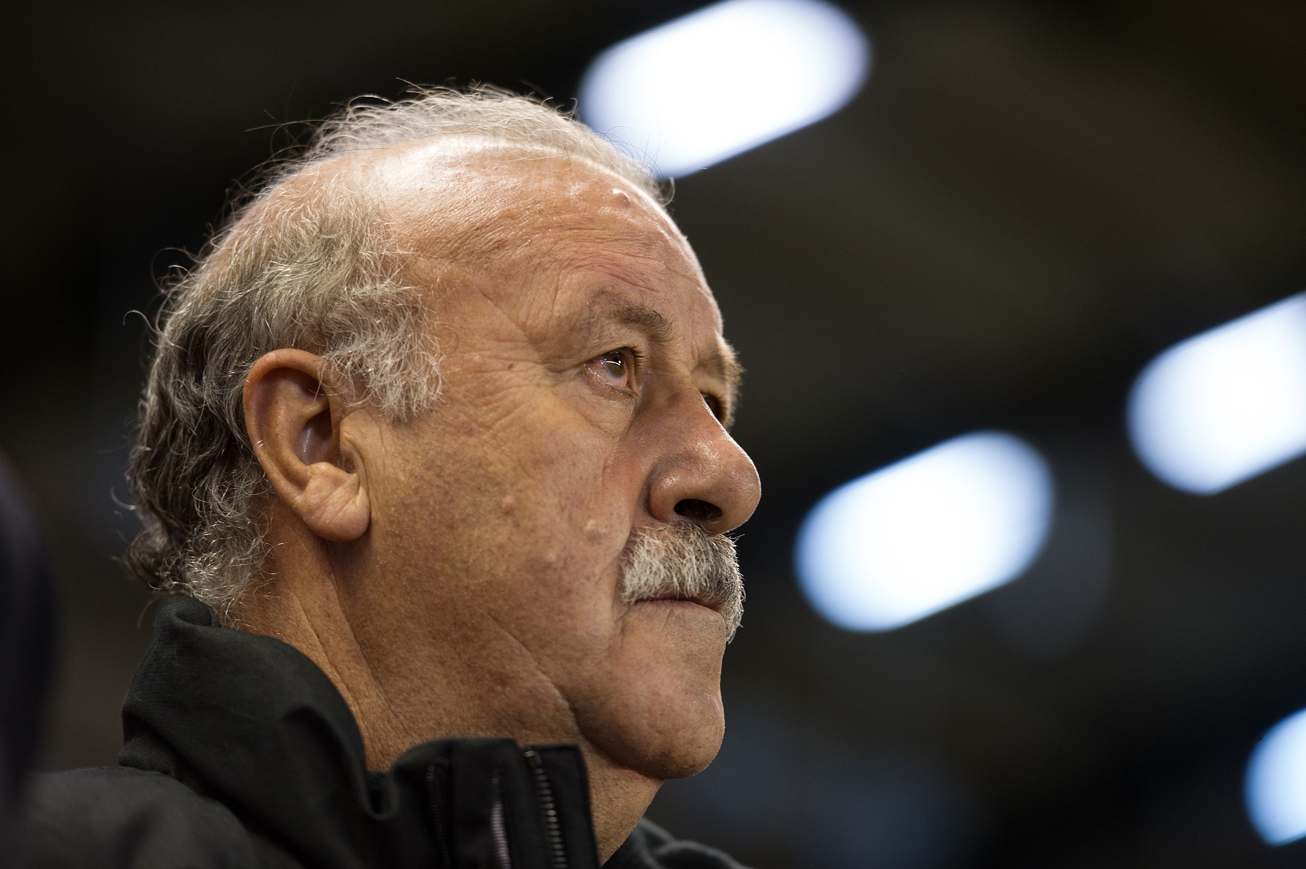 Spain manager Vicente del Bosque