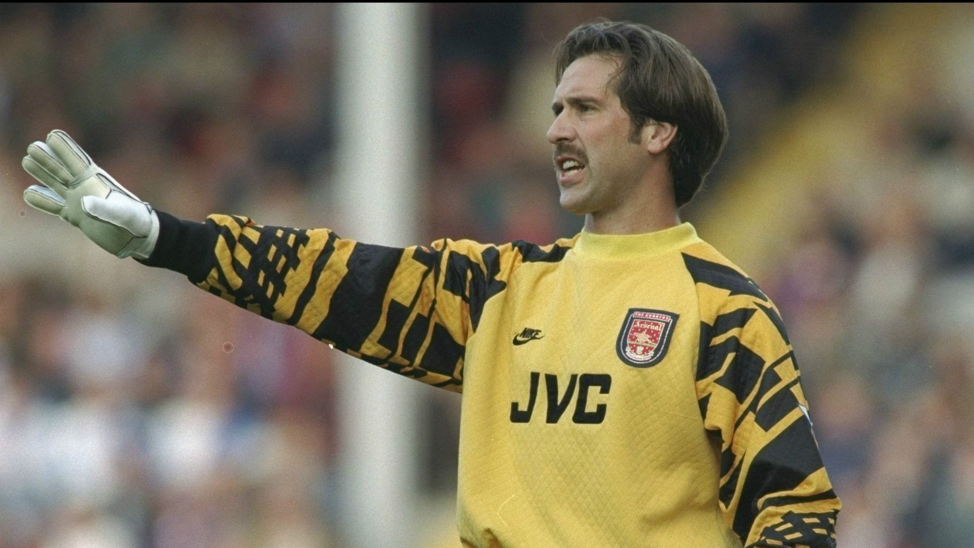 David Seaman Arsenal