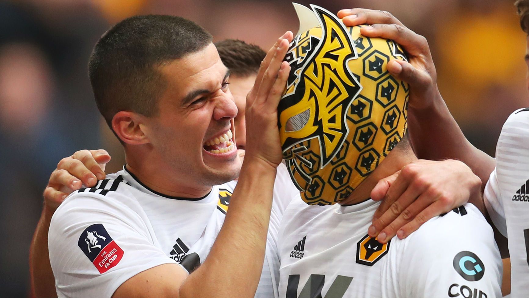 Raul Jimenez Wolves FA Cup