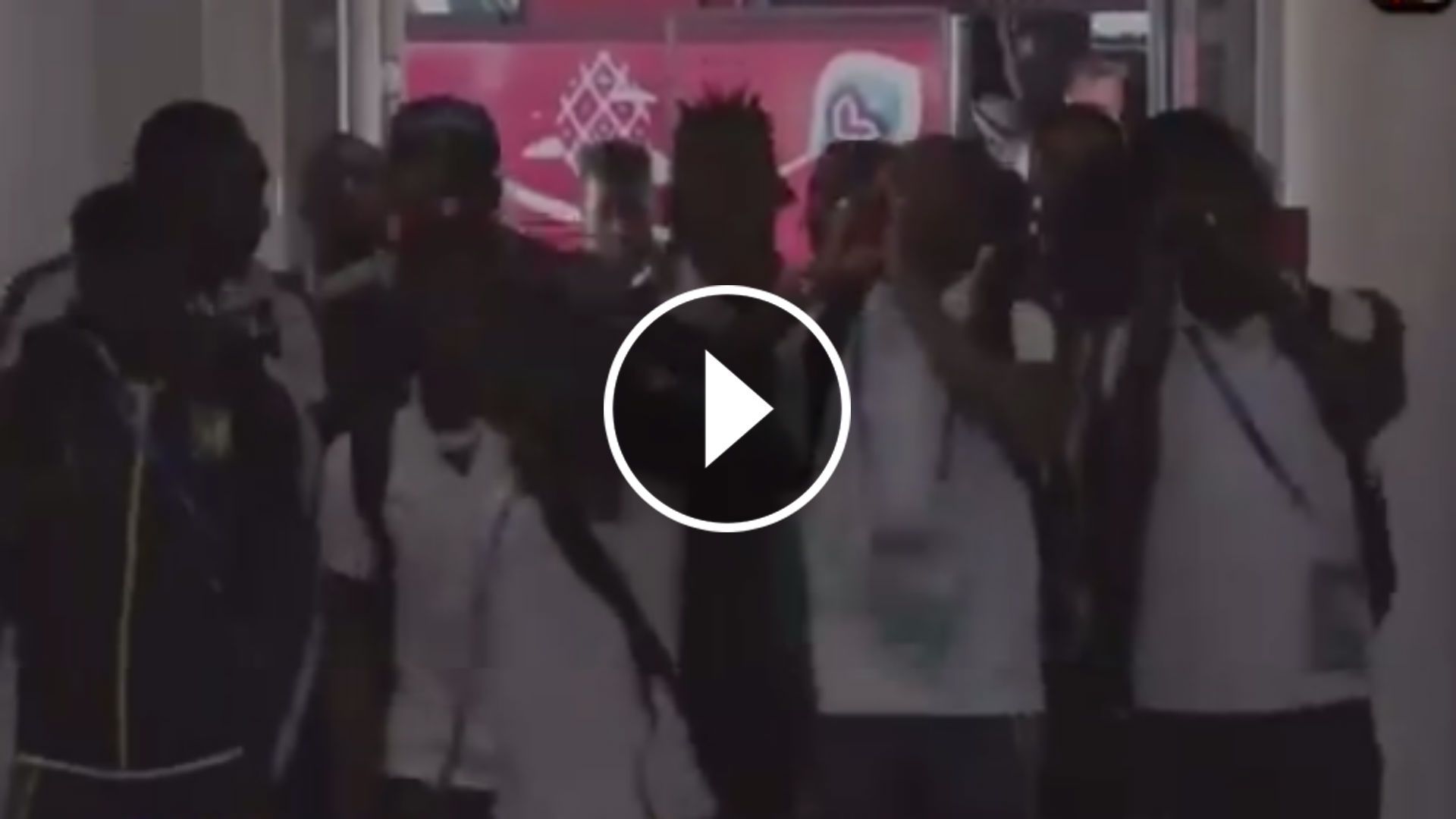 Camerún llegada a Spartak Arena