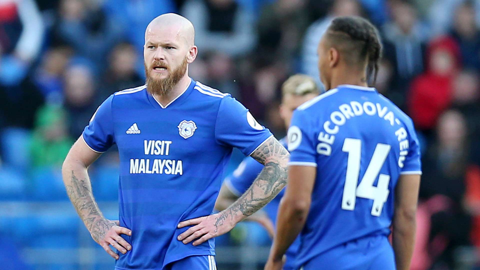 Aron Gunnarsson Cardiff City 2018-19
