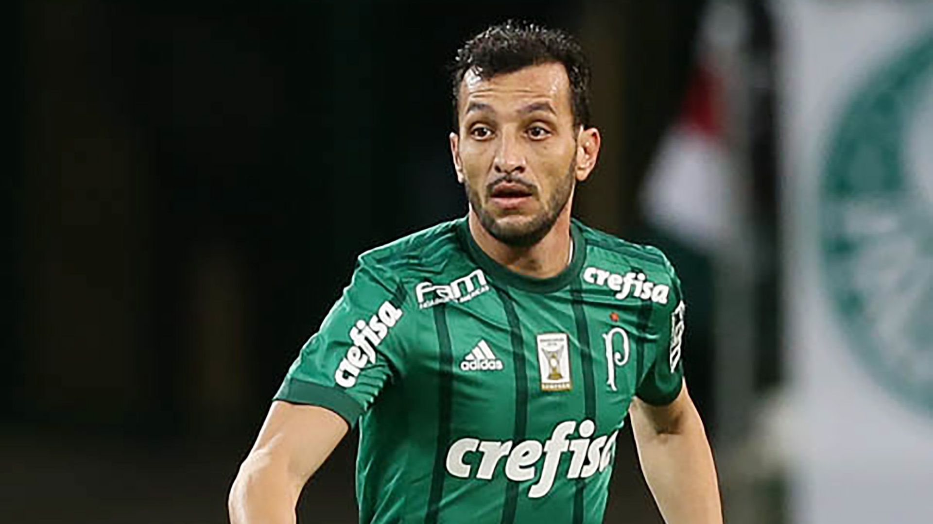 Edu Dracena Palmeiras Atletico-GO Brasileirao Serie A 22062017