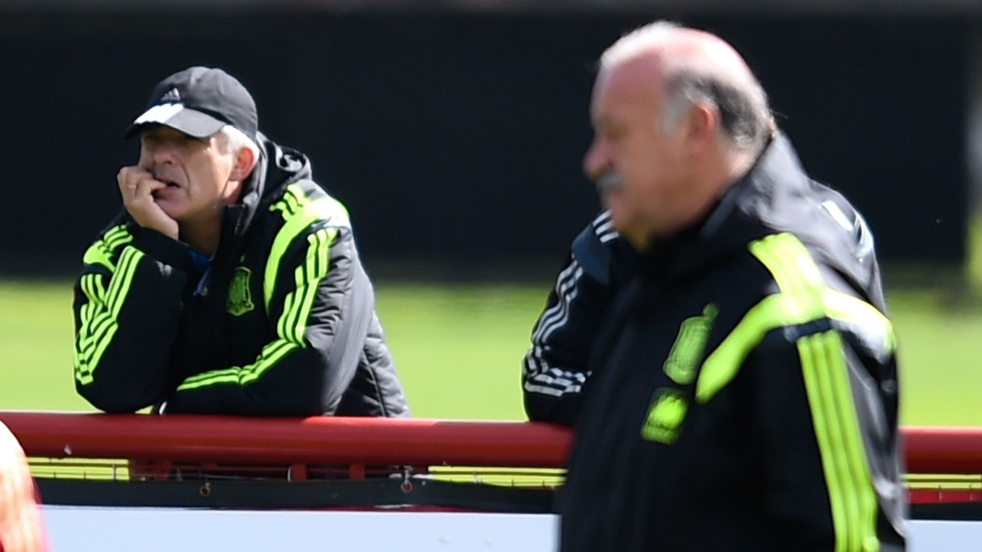 Los mejores momentos de Del Bosque