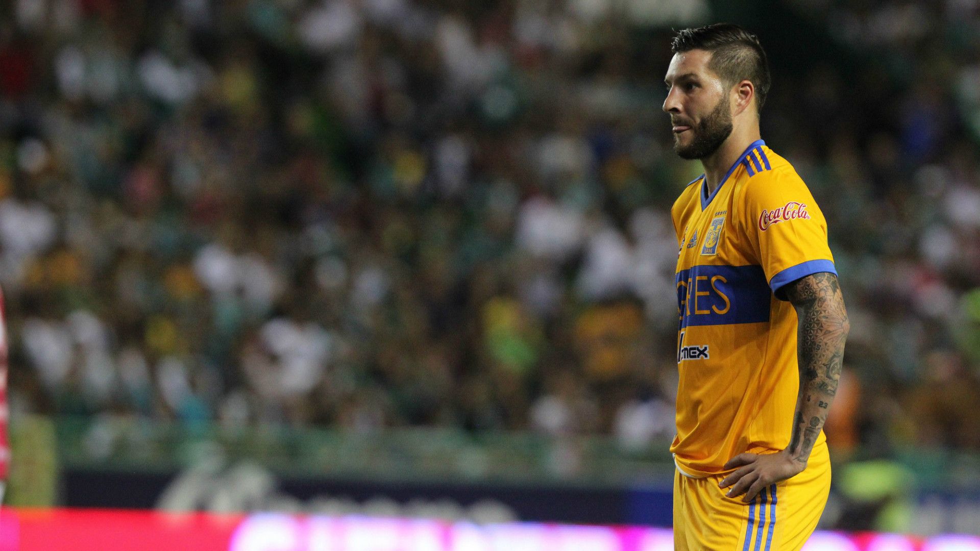 Andre-Pierre Gignac Tigres