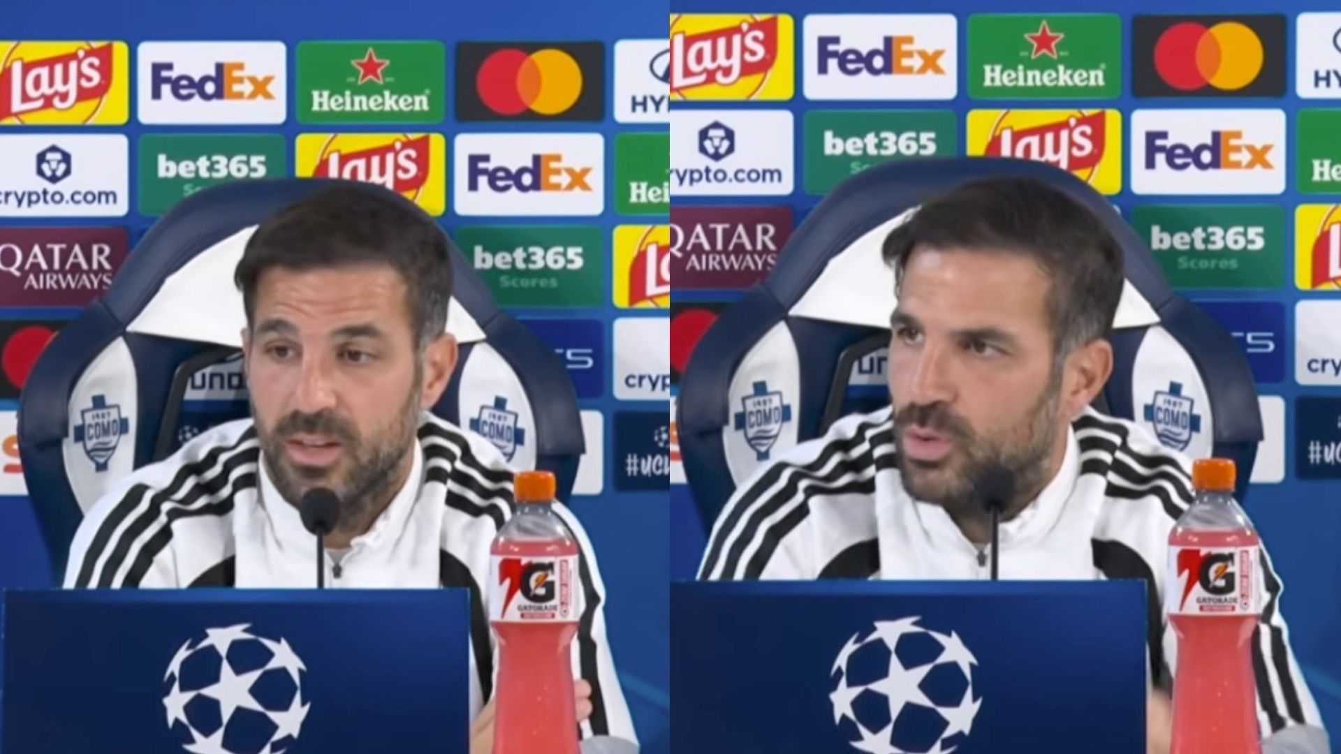 Cesc Fabregas Press Conference