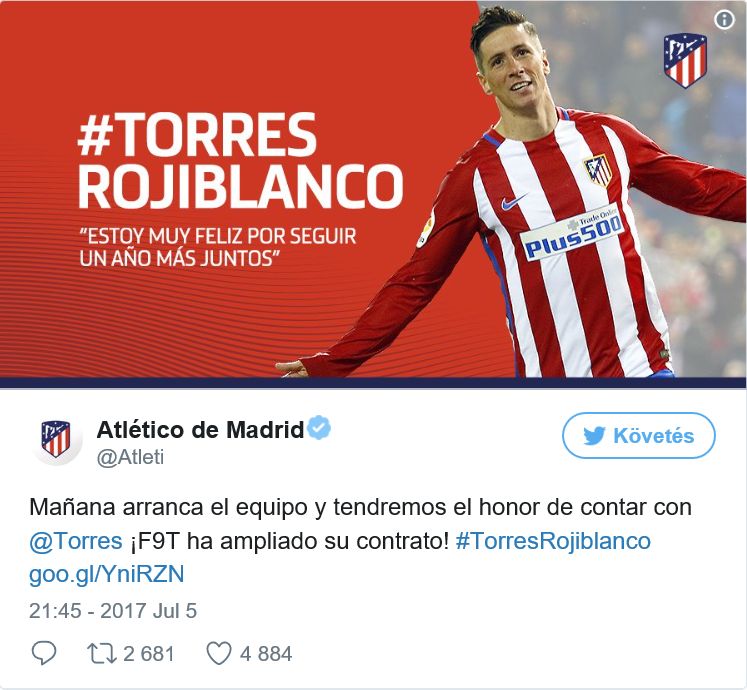 Fernando Torres Atletico Madrid