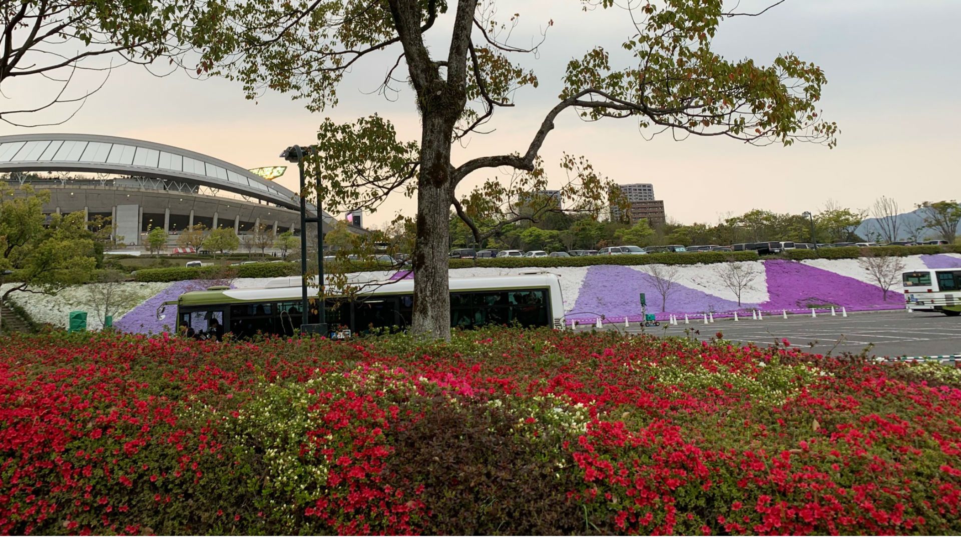 2019-04-20-harahiromi