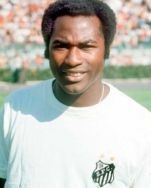 APENAS CORPO Edu Santos