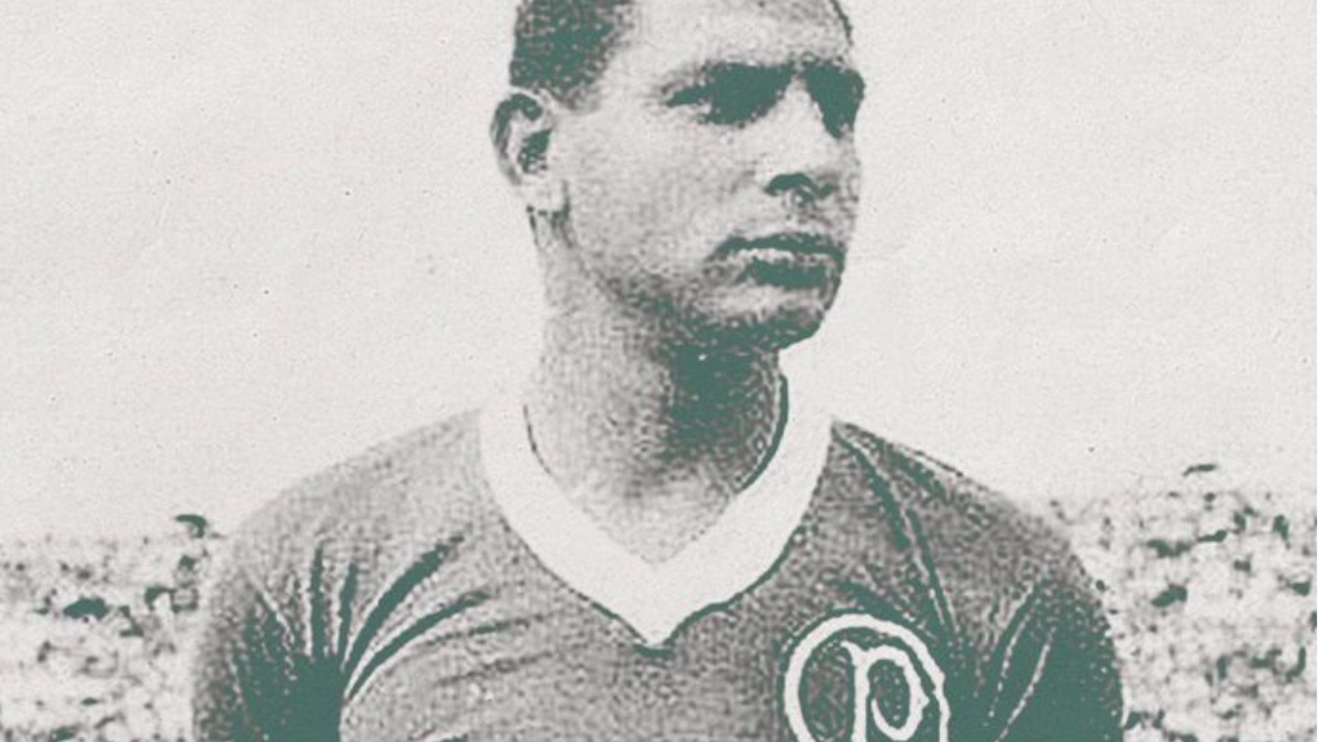 Rodrigues Tatu Palmeiras