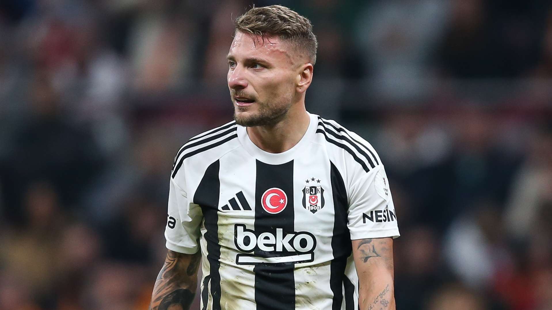 Beşiktaş'ta Ciro Immobile krizi: Başkan Serdal Adalı ile karşı karşıya geldiler!