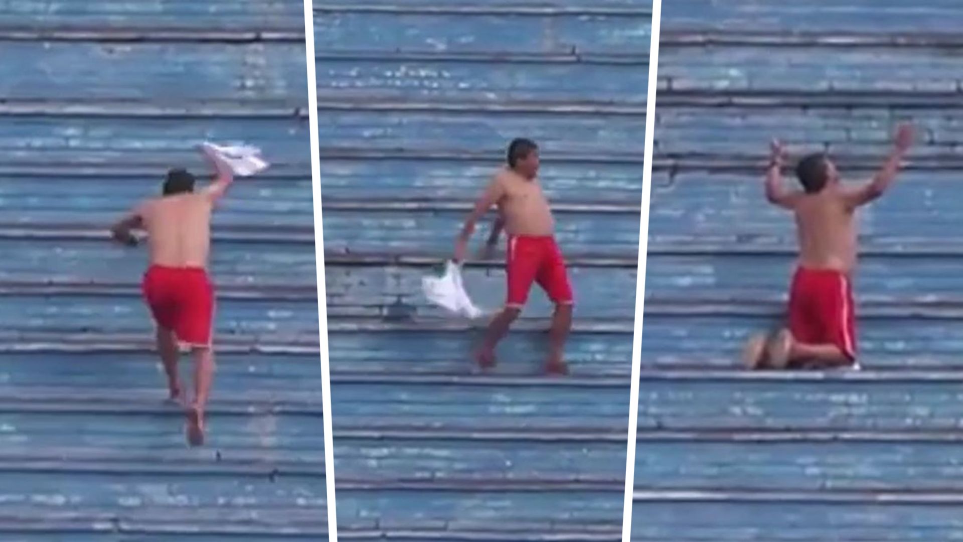 GFX BRASILIEN TRAINER FEIERT OBEN OHNE VIDEO