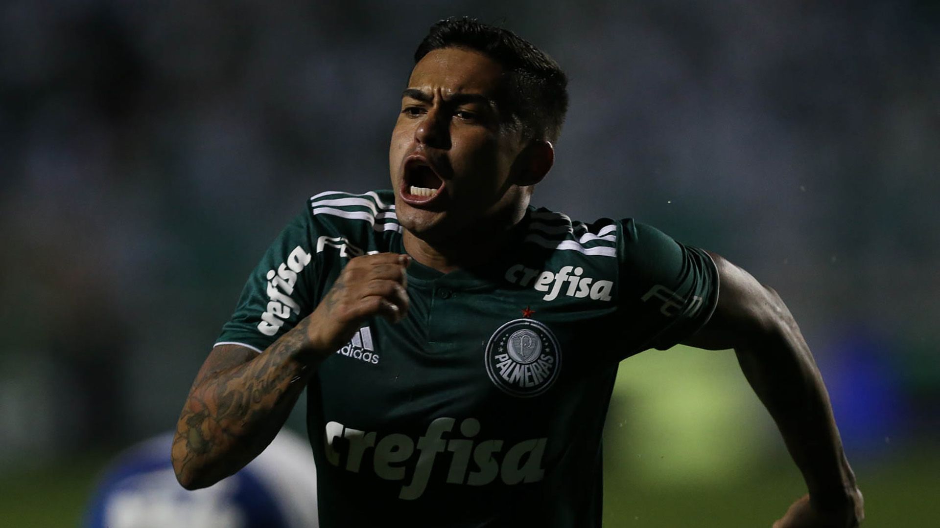Dudu Palmeiras Bahia Copa do Brasil 16082018