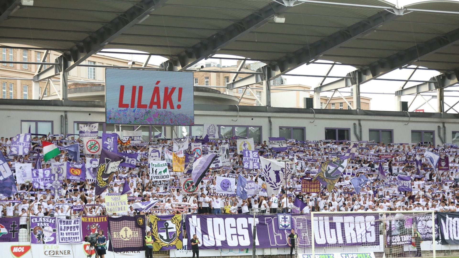 Szusza Ferenc Stadion Újpest