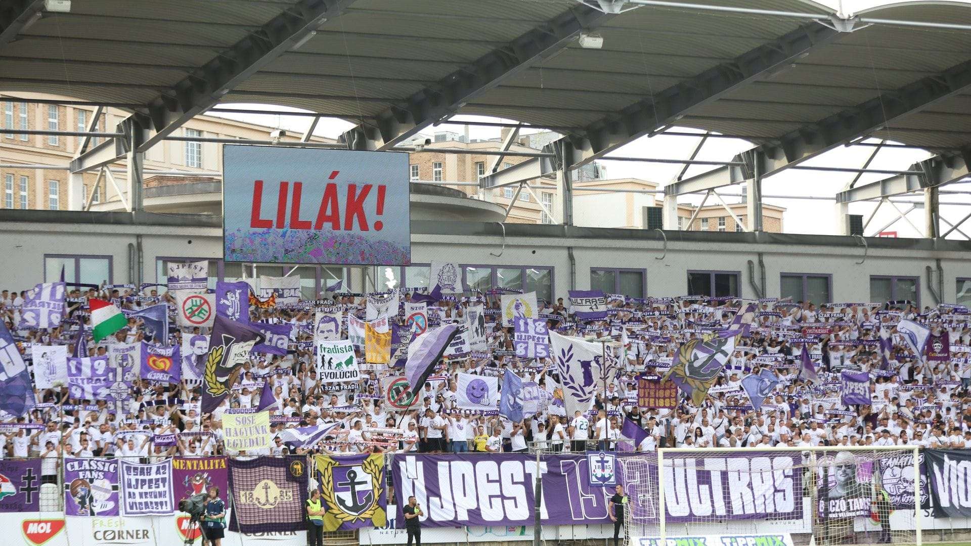 Szusza Ferenc Stadion Újpest