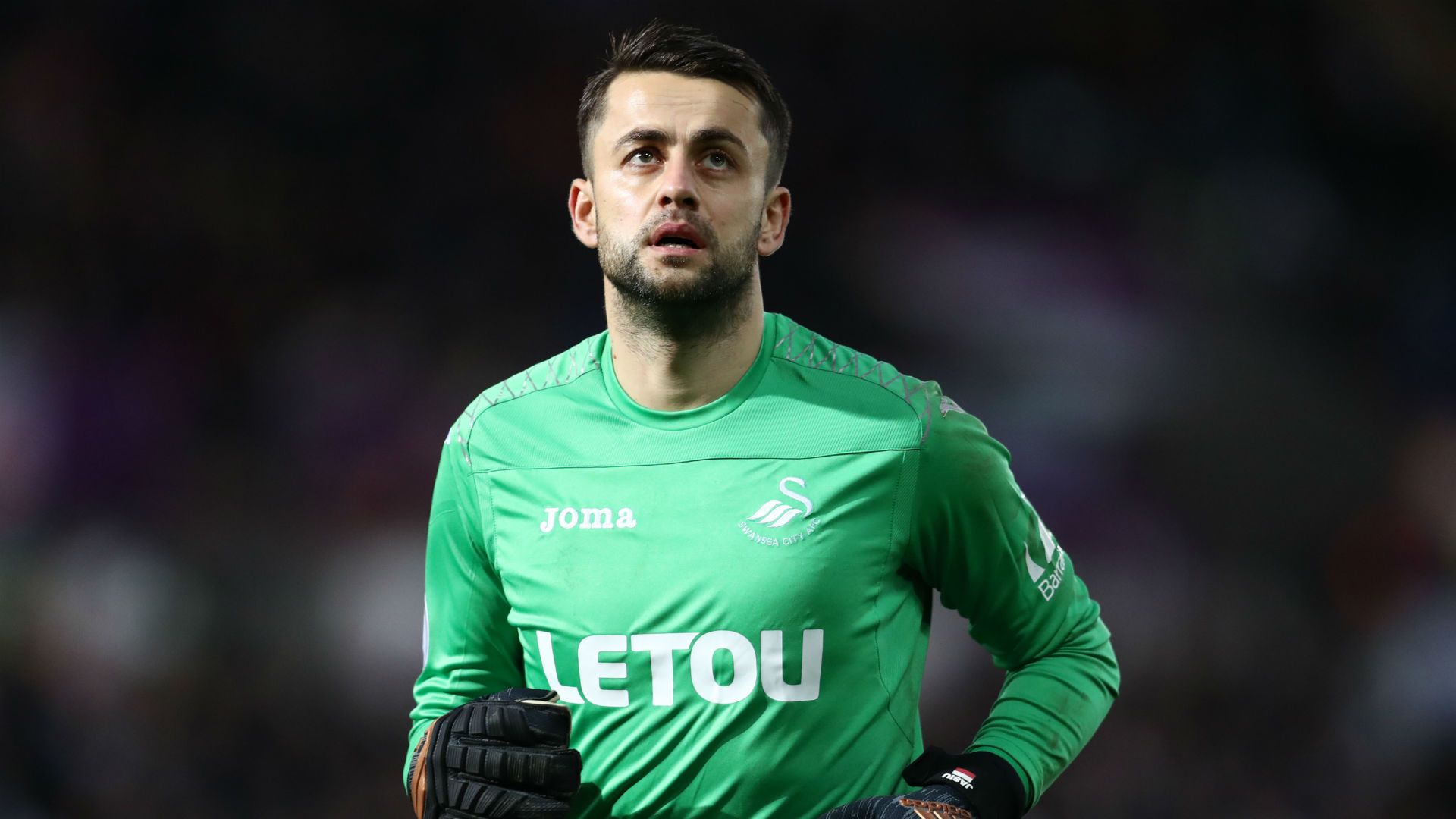 Lukasz Fabianski Swansea