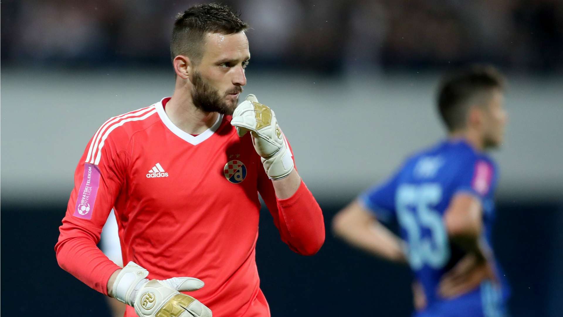 Danijel Zagorac Dinamo Zagreb