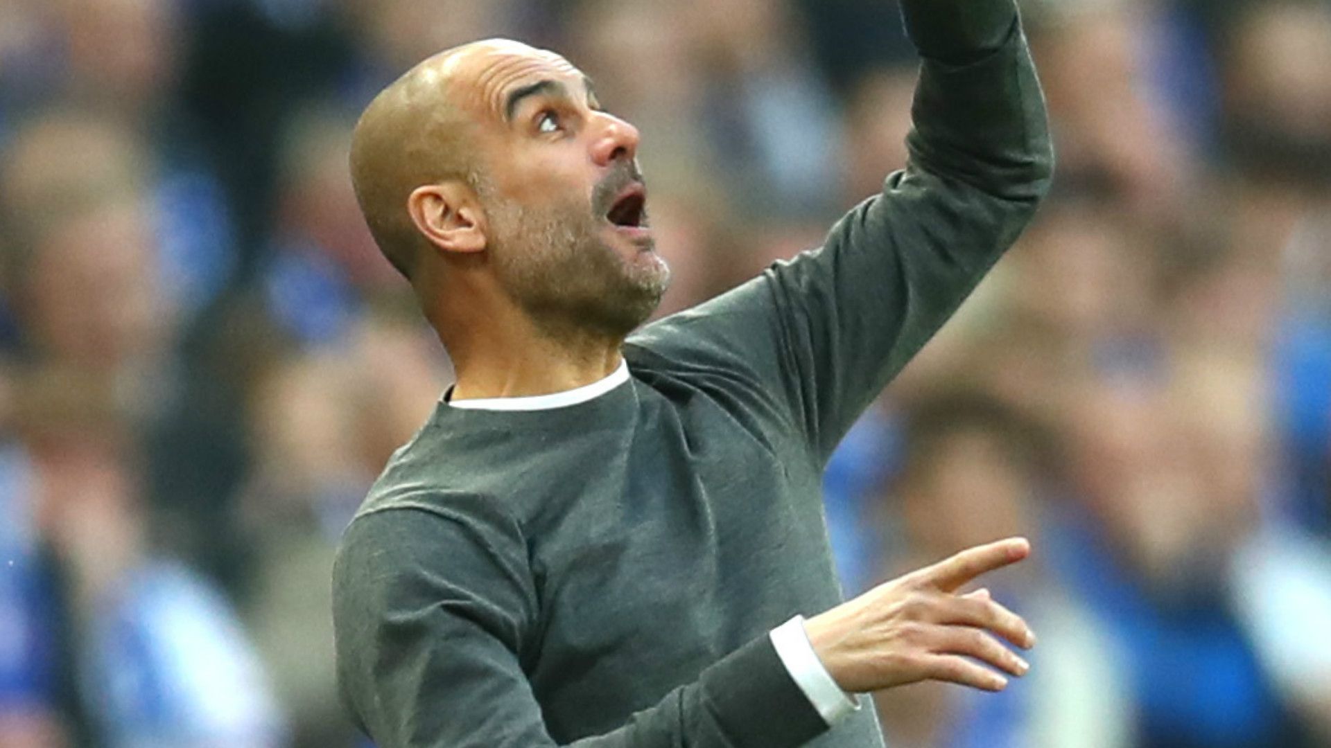 Pep Guardiola Manchester City 2018-19