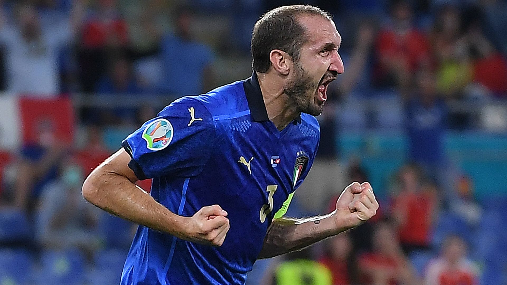 Chiellini Italy