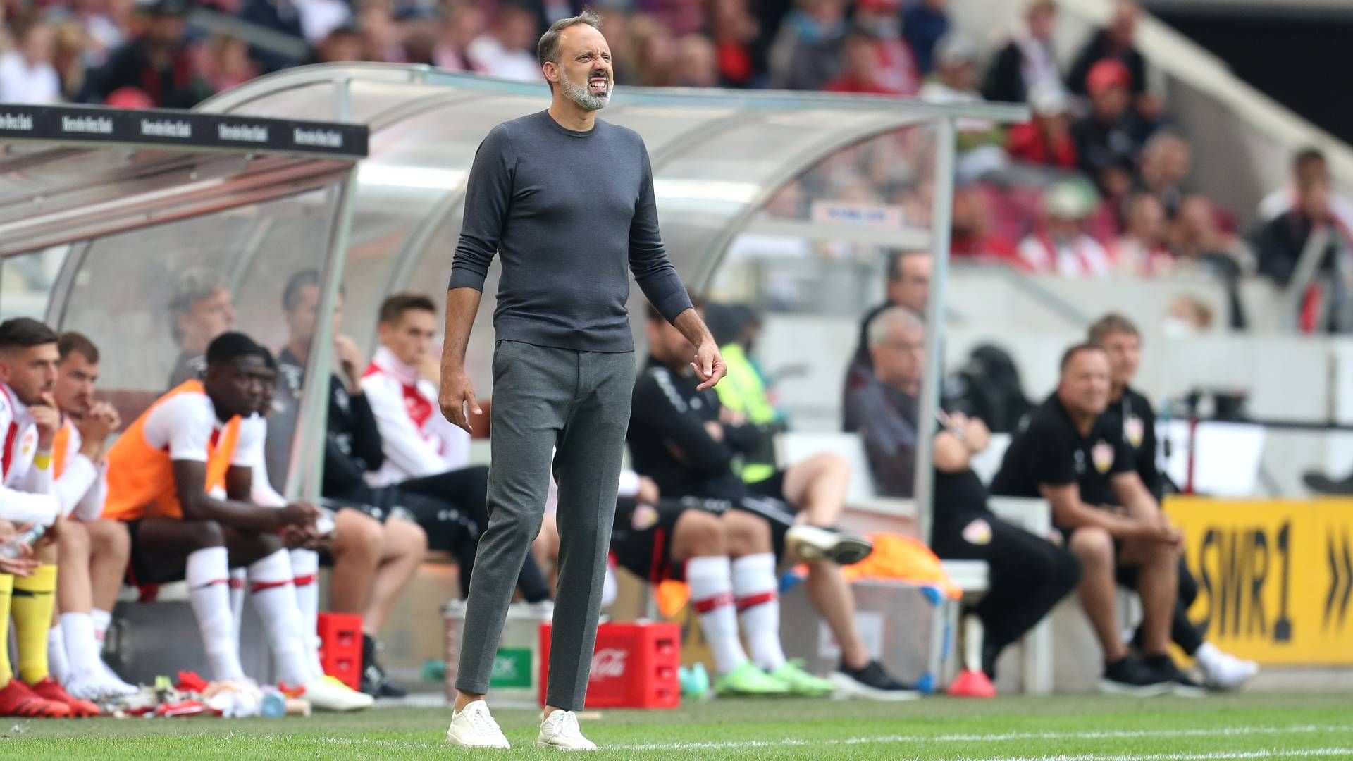 Pellegrino Matarazzo VfB Stuttgart