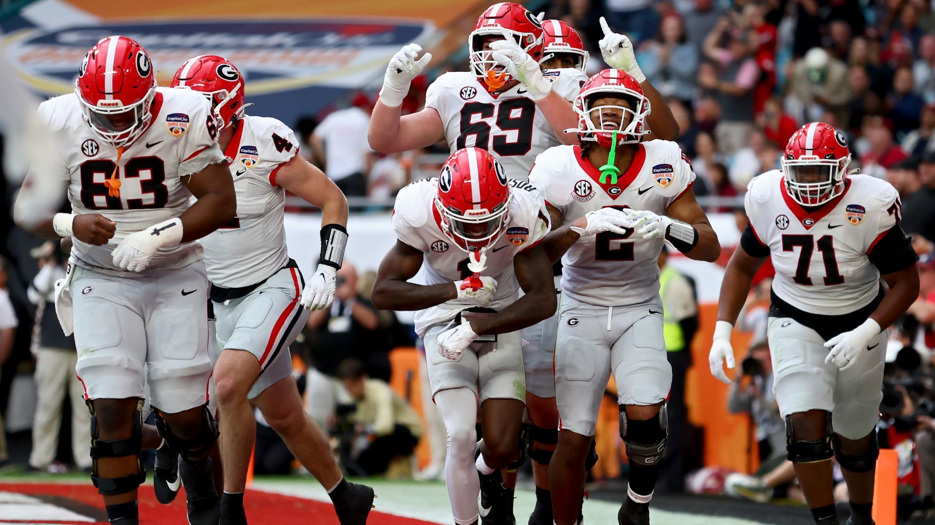 Georgia Bulldogs